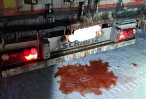 Автоновини: у Норвегії штрафуватимуть фури за воду з риби